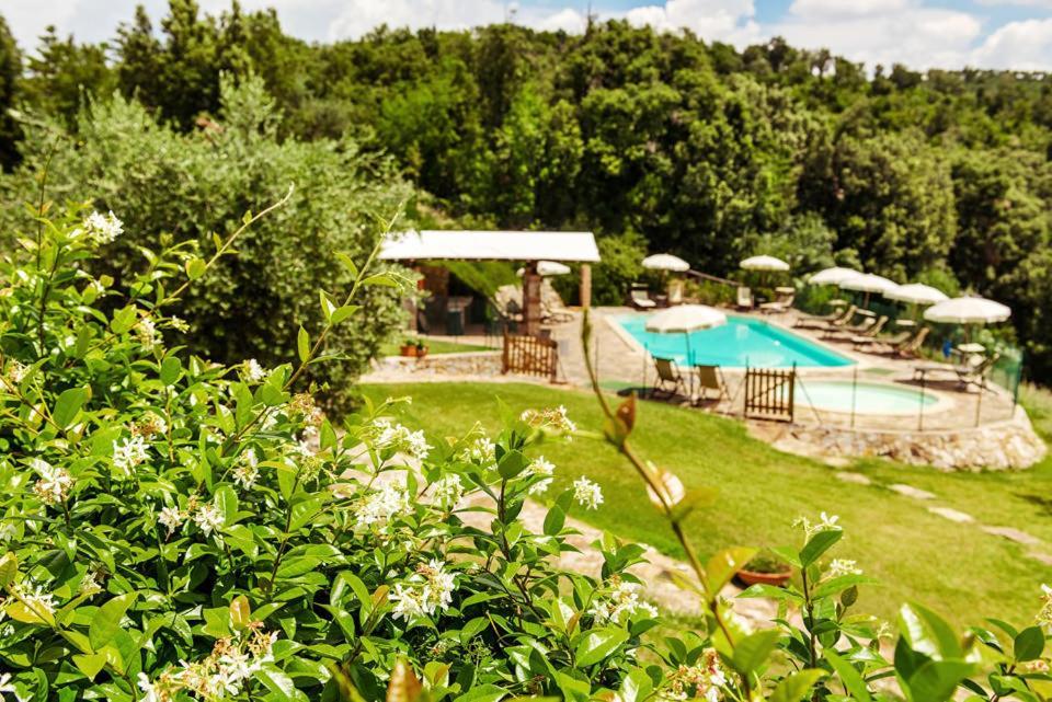 Agriturismo & Cantina Tenuta Casteani Ribolla ภายนอก รูปภาพ