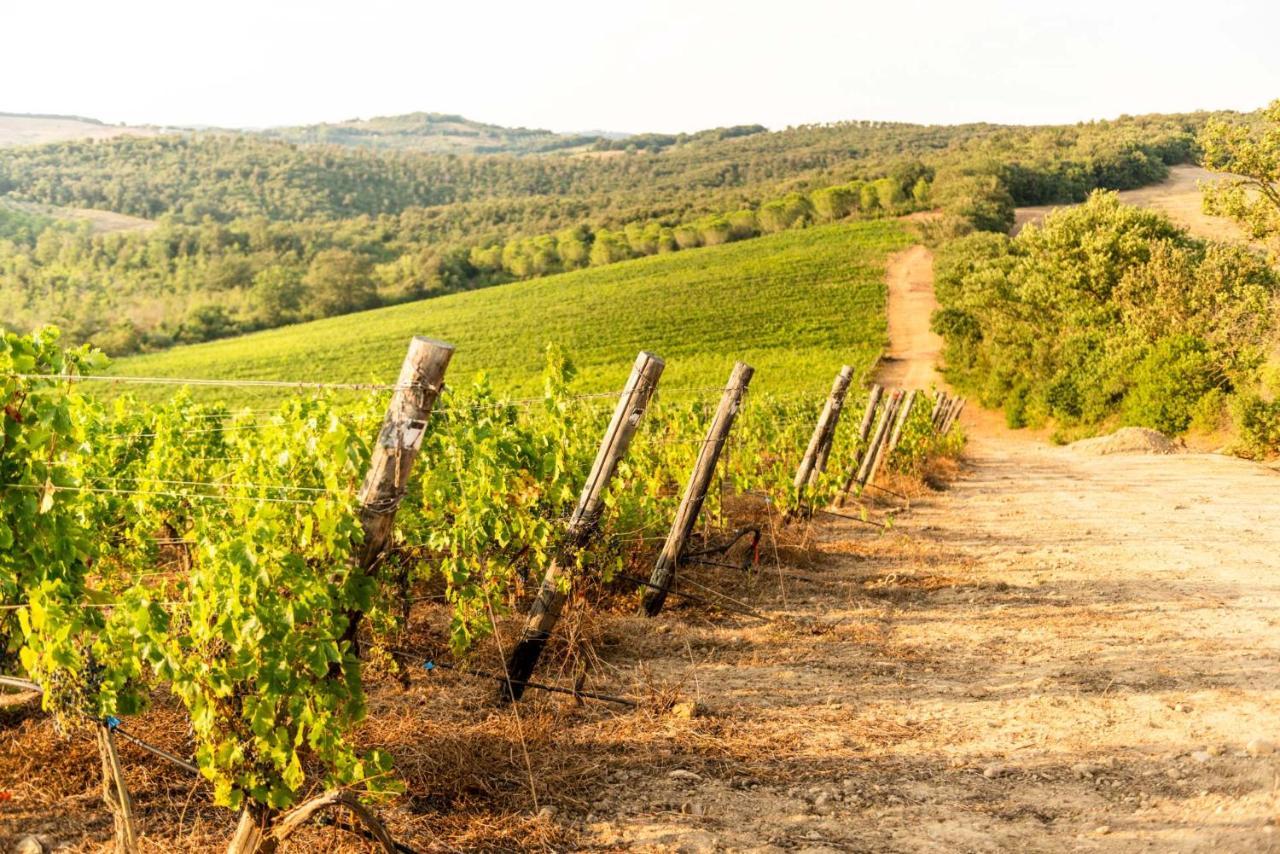 Agriturismo & Cantina Tenuta Casteani Ribolla ภายนอก รูปภาพ