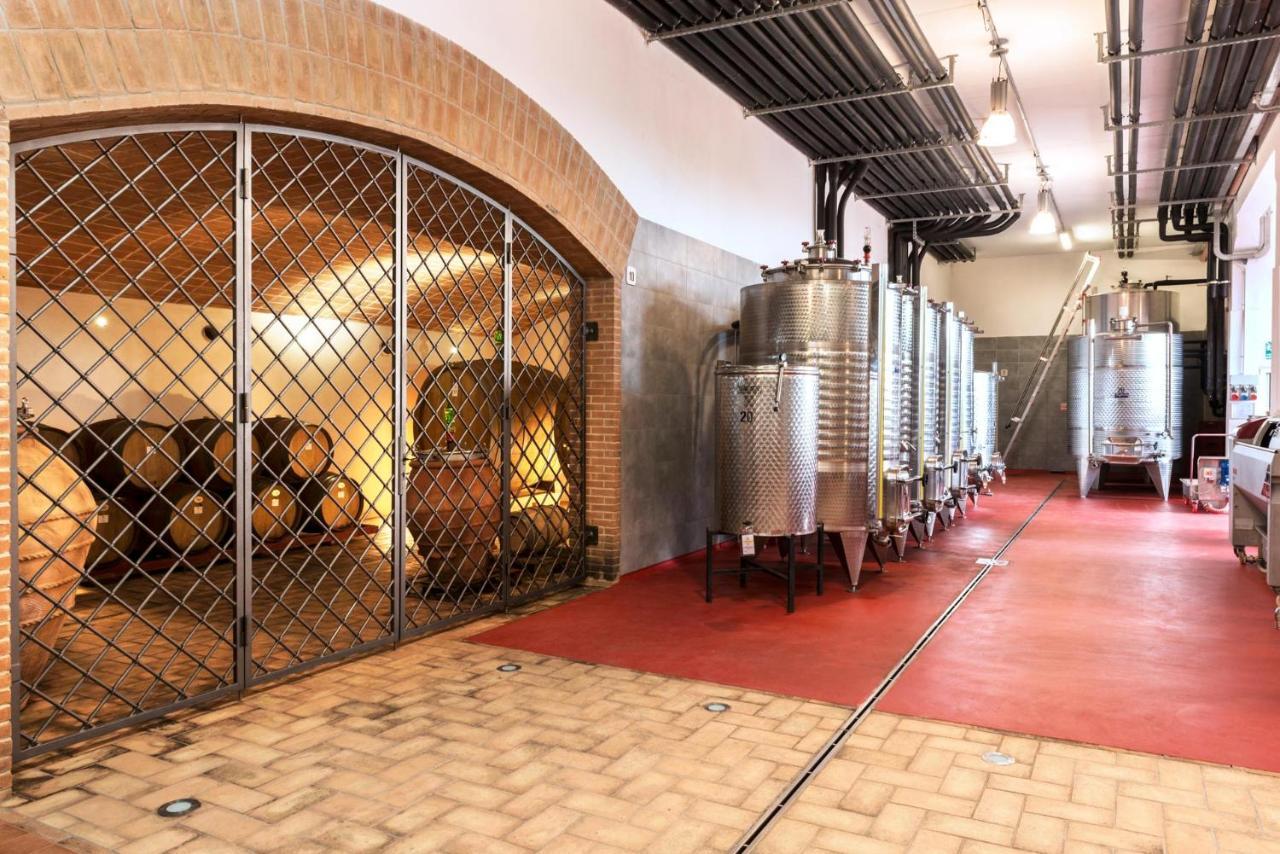 Agriturismo & Cantina Tenuta Casteani Ribolla ภายนอก รูปภาพ